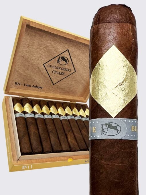 Cavalier BIII-VJ Toro